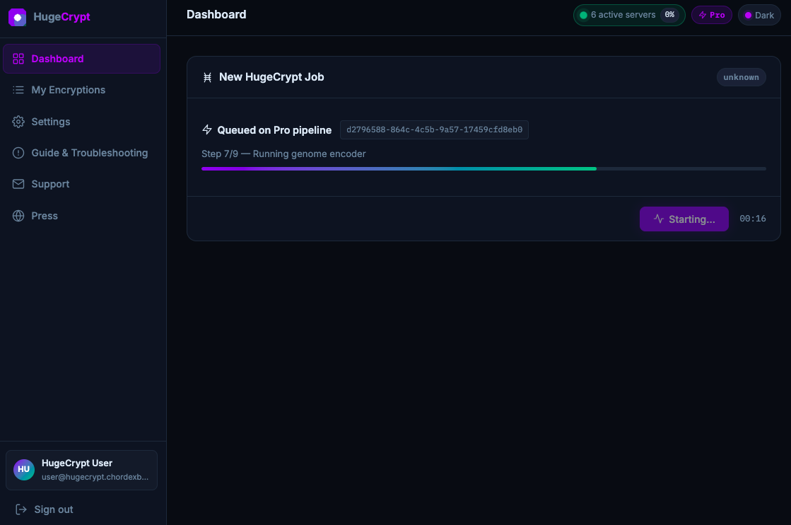 Step 6: HugeCrypt machine learning runtime and processing state